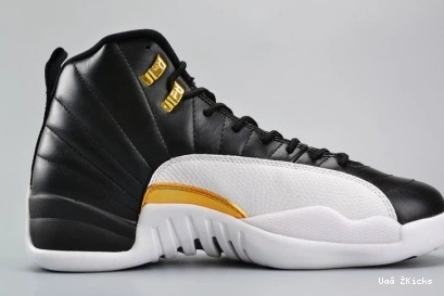 HighQuality 781 848692- 4163 12 Retro Jordan Wings 0709